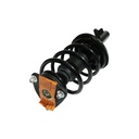 Strut Armado con Resorte Delantero Derecho GSP 30306801