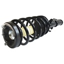 Strut Armado con Resorte Delantero Izquierdo GSP 30306942