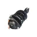 Strut Armado con Resorte Delantero Izquierdo GSP 30307042