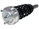 Strut Armado con Resorte Delantero GSP 30307190