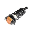 Strut Armado con Resorte Trasero GSP 30307240