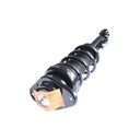 Strut Armado con Resorte Trasero Izquierdo GSP 30307252