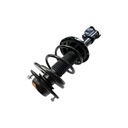 Strut Armado con Resorte Delantero Izquierdo GSP 30307332