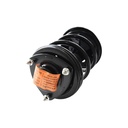 Strut Armado con Resorte Delantero Derecho GSP 30307361