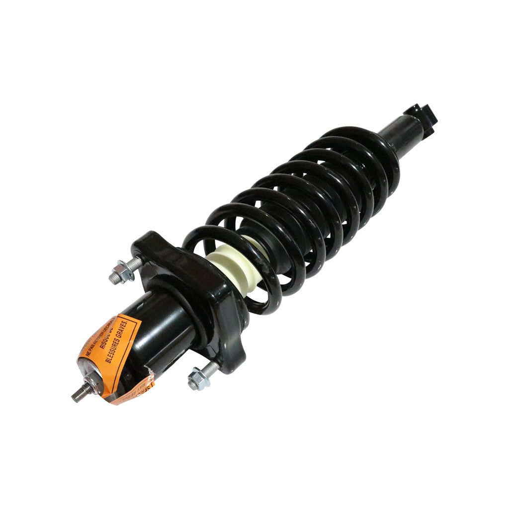 30307410 — Strut Armado con Resorte Trasero GSP 30307410