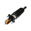 Strut Armado con Resorte Trasero GSP 30307410