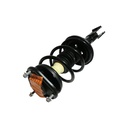 Strut Armado con Resorte Delantero Izquierdo GSP 30307562