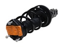 Strut Armado con Resorte Trasero Izquierdo GSP 30307662