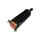 Strut Armado con Resorte Trasero GSP 30307670