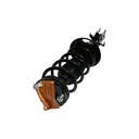 Strut Armado con Resorte Delantero Derecho GSP 30307731