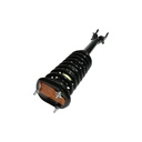 Strut Armado con Resorte Delantero Izquierdo GSP 30307802
