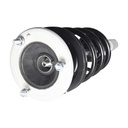 Strut Armado con Resorte Delantero Derecho GSP 30307831