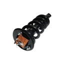 Strut Armado con Resorte Delantero GSP 30307960
