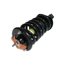 Strut Armado con Resorte Trasero GSP 30308040