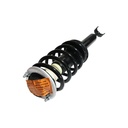 Strut Armado con Resorte Delantero Derecho GSP 30308191