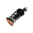Strut Armado con Resorte Trasero Izquierdo GSP 30308212