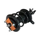 Strut Armado con Resorte Delantero Derecho GSP 30308251