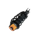 Strut Armado con Resorte Delantero Derecho GSP 30308411