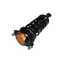 Strut Armado con Resorte Trasero Derecho GSP 30308491