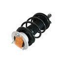Strut Armado con Resorte Delantero Derecho GSP 30308511