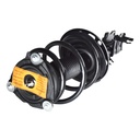 Strut Armado con Resorte Delantero Izquierdo GSP 30308592