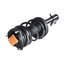 Strut Armado con Resorte Delantero Izquierdo GSP 30308632