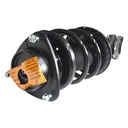 Strut Armado con Resorte Delantero Izquierdo GSP 30308662