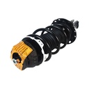 Strut Armado con Resorte Delantero Izquierdo GSP 30308782