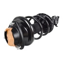 Strut Armado con Resorte Delantero Derecho GSP 30308801