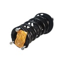 Strut Armado con Resorte Trasero Derecho GSP 30308831