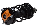 Strut Armado con Resorte Delantero Derecho GSP 30308971