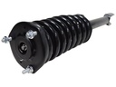 Strut Armado con Resorte Delantero GSP 30309020