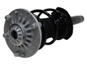 Strut Armado con Resorte Delantero GSP 30309300