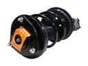 Strut Armado con Resorte Delantero Izquierdo GSP 30309362