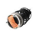 Strut Armado con Resorte Delantero Derecho GSP 30309481
