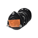 Strut Armado con Resorte Delantero Derecho GSP 30309571