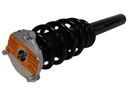 Strut Armado con Resorte Delantero GSP 30309700