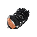 Strut Armado con Resorte Delantero Derecho GSP 30309751