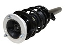 Strut Armado con Resorte Delantero Derecho GSP 30310181