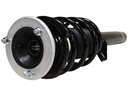 Strut Armado con Resorte Delantero Derecho GSP 30310191