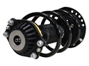 Strut Armado con Resorte Delantero Izquierdo GSP 30310272