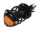 Strut Armado con Resorte Delantero Izquierdo GSP 30310882