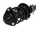 Strut Armado con Resorte Delantero Derecho GSP 30310971