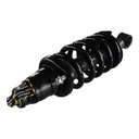 Strut Armado con Resorte Trasero Derecho GSP 30330401