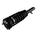 Strut Armado con Resorte Delantero GSP 30330490