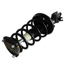 Strut Armado con Resorte Trasero Izquierdo GSP 30333102