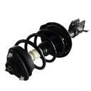 Strut Armado con Resorte Delantero Izquierdo GSP 30333252