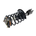 Strut Armado con Resorte Delantero GSP 30334040