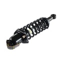 Strut Armado con Resorte Trasero Izquierdo GSP 30334072
