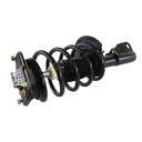 Strut Armado con Resorte Delantero GSP 30334120